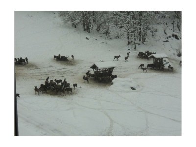 Apartment Ap./4 od mehr Schlafräume/Dusche, WC - Outdoor photo 75