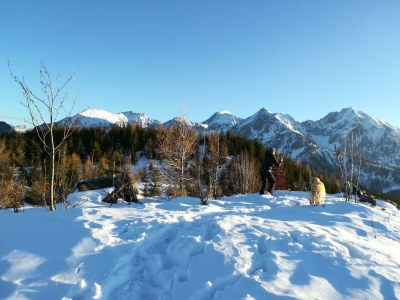 Apartment Ap./4 od mehr Schlafräume/Dusche, WC - Outdoor photo 81