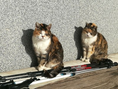 Apartment Ap./4 od mehr Schlafräume/Dusche, WC - Outdoor photo 95