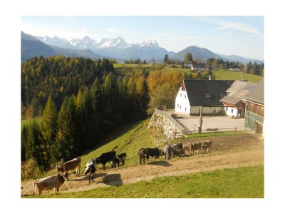 Apartment Ap./4 od mehr Schlafräume/Dusche, WC - Outdoor photo 101