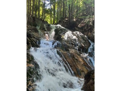 Apartment Ap./4 od mehr Schlafräume/Dusche, WC - Outdoor photo 105