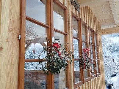 Apartment Appartement/Fewo, Dusche, WC, 2 Schlafräume - Outdoor photo 26