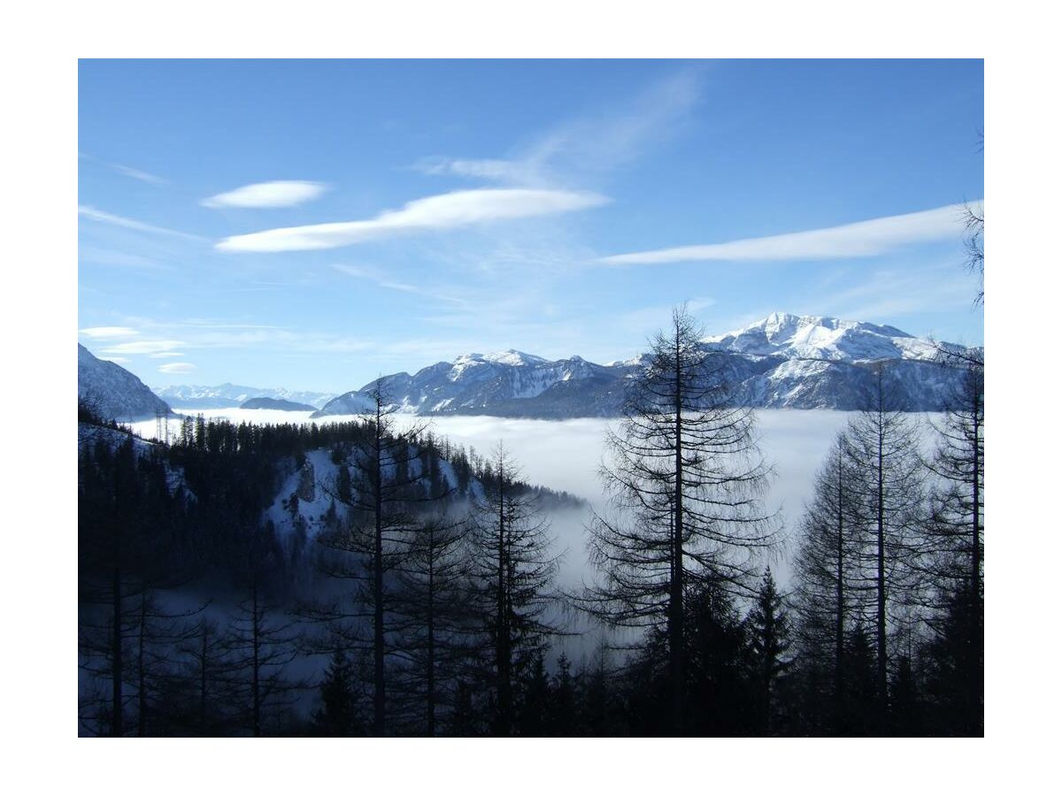 Apartment "Domblick"/1 Schlafraum/Dusche, WC