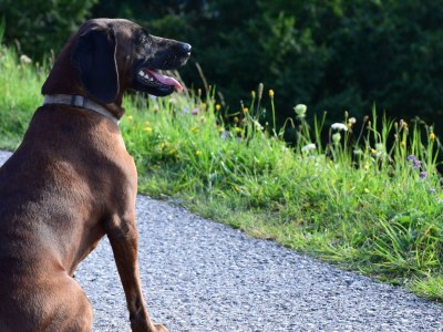 Apartment "Domblick"/1 Schlafraum/Dusche, WC - Outdoor photo 10