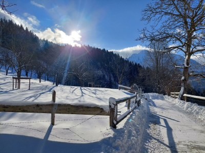Apartment "Domblick"/1 Schlafraum/Dusche, WC - Outdoor photo 18