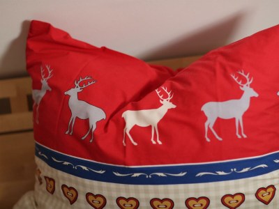 Apartment "Studio Georg"/1 Schlafraum/DU/WC - Outdoor photo 6