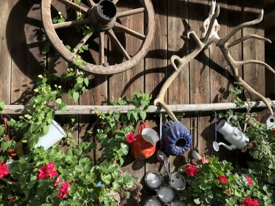 Apartment "Studio Georg"/1 Schlafraum/DU/WC - Outdoor photo 10