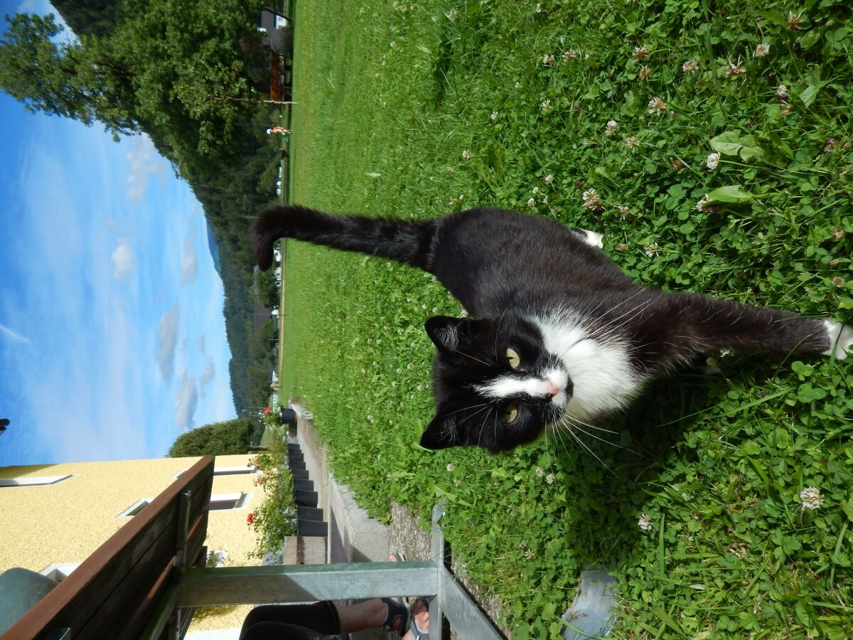 Apartment Ferienwohnung "Bergblick", 3 Schlafräume - Outdoor photo 2