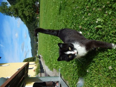 Apartment Ferienwohnung "Bergblick", 3 Schlafräume - Outdoor photo 2