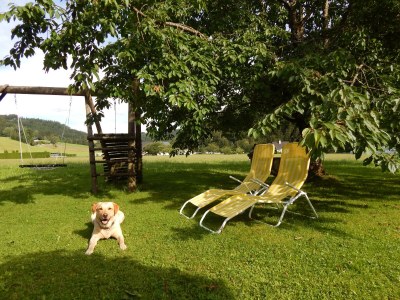 Apartment Ferienwohnung "Bergblick", 3 Schlafräume - Outdoor photo 7