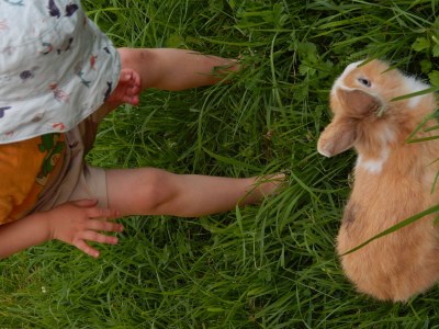 Apartment Ferienwohnung "Bergblick", 3 Schlafräume - Outdoor photo 15