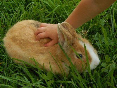 Apartment Ferienwohnung "Bergblick", 3 Schlafräume - Outdoor photo 16