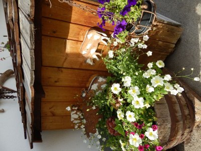 Apartment Ferienwohnung "Bergblick", 3 Schlafräume - Outdoor photo 19