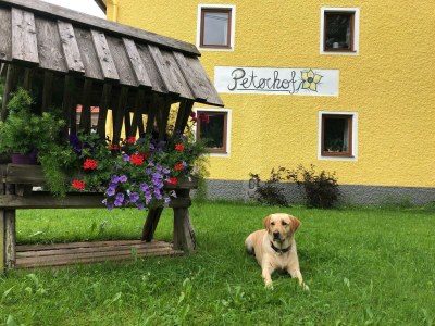 Apartment Ferienwohnung "Bergblick", 3 Schlafräume - Outdoor photo 23