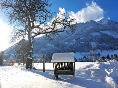 Apartment Ferienwohnung "Bergblick", 3 Schlafräume - Outdoor photo 26