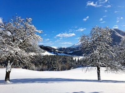 Apartment Ferienwohnung "Bergblick", 3 Schlafräume - Outdoor photo 27