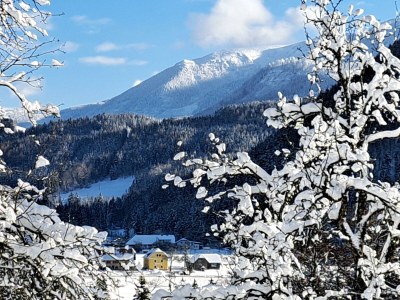 Apartment Ferienwohnung "Bergblick", 3 Schlafräume - Outdoor photo 29