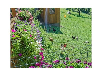 Apartment Apartment/2 Schlafräume/Dusche, WC - Outdoor photo 9