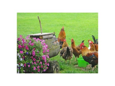 Apartment Apartment/2 Schlafräume/Dusche, WC - Outdoor photo 24