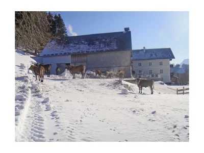 Apartment Apartment/2 Schlafräume/Dusche, WC - Outdoor photo 28