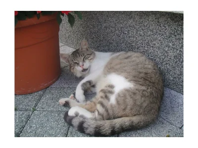 Apartment Apartment/2 Schlafräume/Dusche, WC - Outdoor photo 40