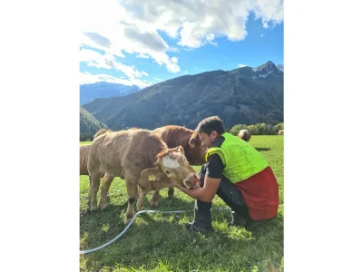 Apartment Apartment/2 Schlafräume/Dusche, WC - Outdoor photo 43