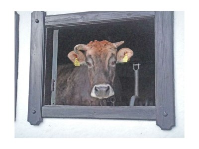 Apartment Apartment/2 Schlafräume/Dusche, WC - Outdoor photo 45