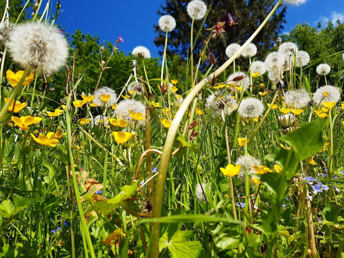 Apartment 3. Bosruckblick/2 Schlafräume/Dusche, Bad, WC - Outdoor photo 4