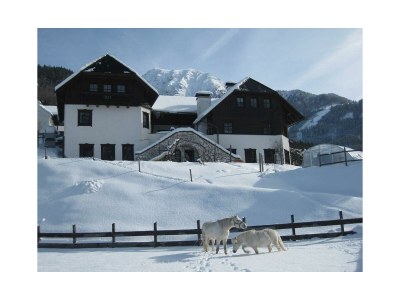 Apartment 3. Bosruckblick/2 Schlafräume/Dusche, Bad, WC - Outdoor photo 8