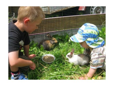 Apartment 3. Bosruckblick/2 Schlafräume/Dusche, Bad, WC - Outdoor photo 41