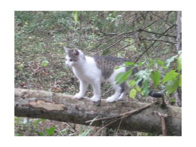 Apartment 3. Bosruckblick/2 Schlafräume/Dusche, Bad, WC - Outdoor photo 42