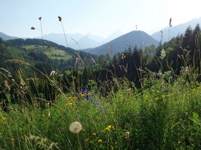 Apartment Apartment "Kleine Familie" - Outdoor photo 3