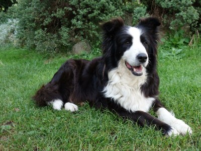 Apartment Apartment "Kleine Familie" - Outdoor photo 9