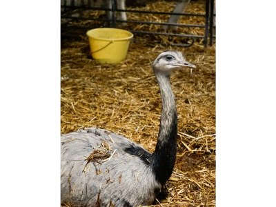 Apartment Apartment "Kleine Familie" - Outdoor photo 21