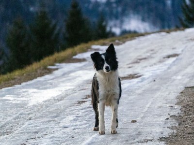 Apartment Apartment "Kleine Familie" - Outdoor photo 22