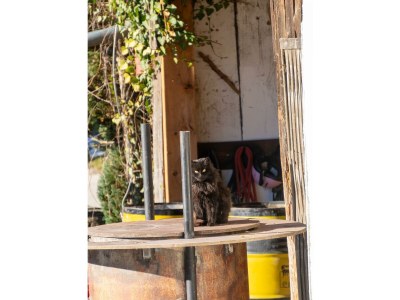 Apartment Apartment "Kleine Familie" - Outdoor photo 25