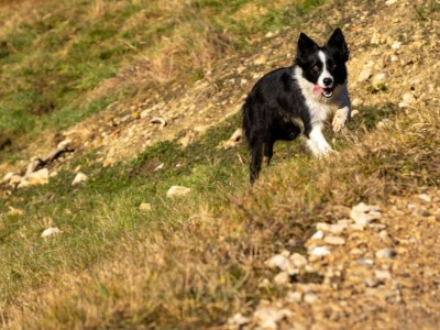 Apartment Apartment "Kleine Familie" - Outdoor photo 28