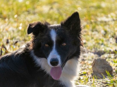 Apartment Apartment "Kleine Familie" - Outdoor photo 31