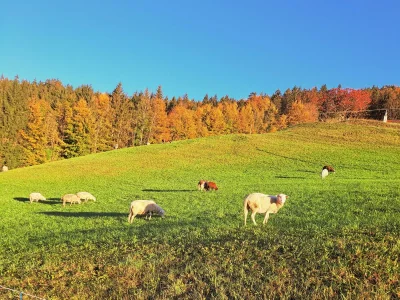 Apartment Apartment "Kleine Familie" - Outdoor photo 51