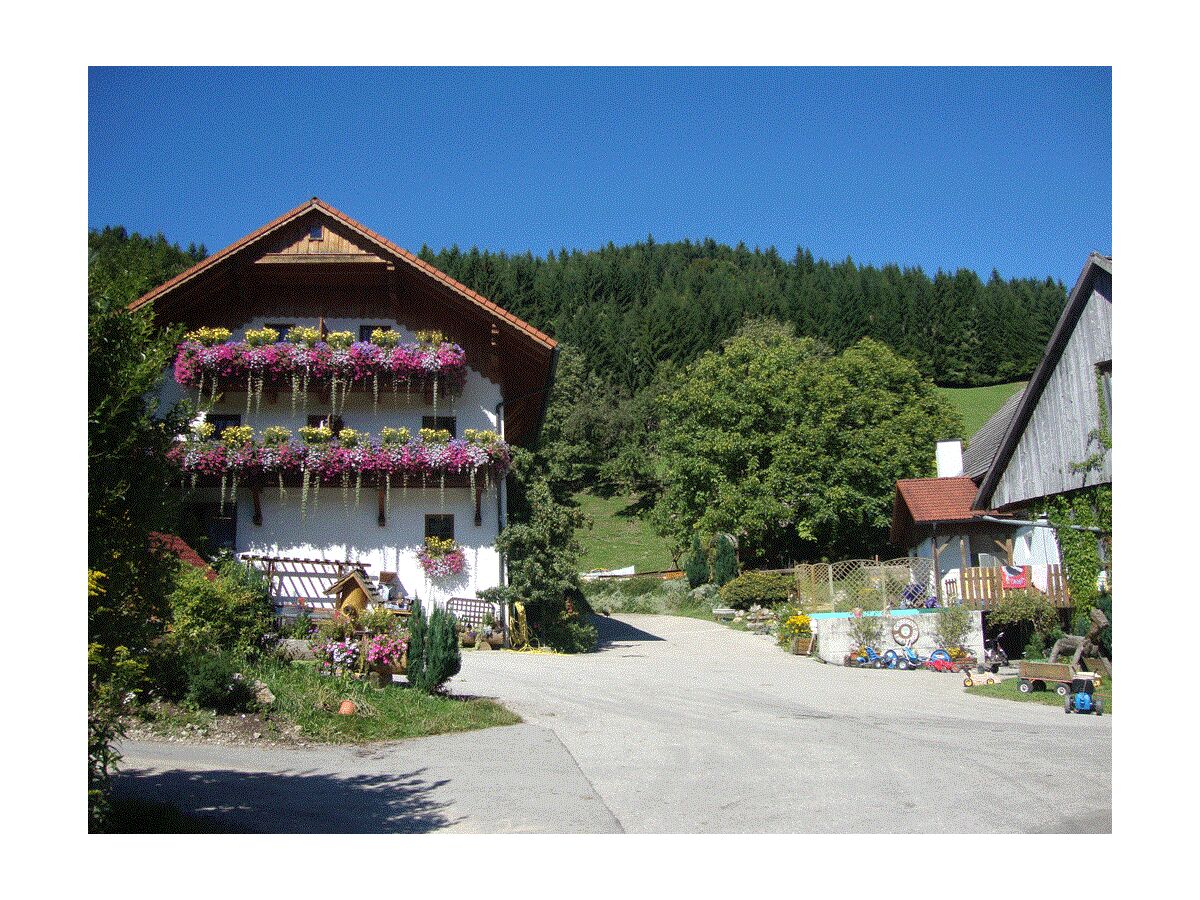 Apartment Apartement "Familie mit Bergblick"