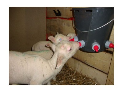 Apartment Apartement "Familie mit Bergblick" - Outdoor photo 2