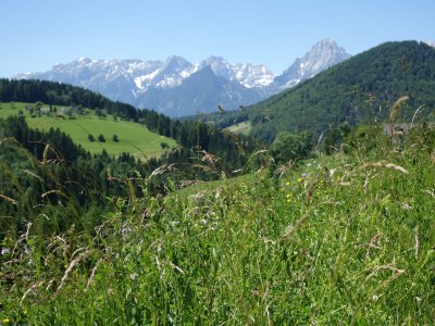 Apartment Apartement "Familie mit Bergblick" - Outdoor photo 13