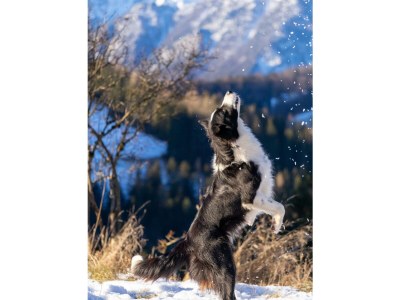 Apartment Apartement "Familie mit Bergblick" - Outdoor photo 24