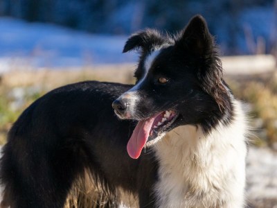 Apartment Apartement "Familie mit Bergblick" - Outdoor photo 26