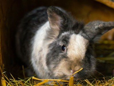 Apartment Apartement "Familie mit Bergblick" - Outdoor photo 32