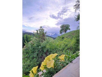 Apartment Apartement "Familie mit Bergblick" - Outdoor photo 37