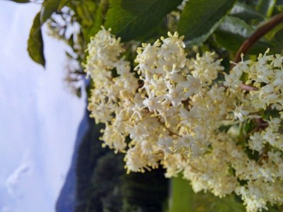 Apartment Apartement "Familie mit Bergblick" - Outdoor photo 39