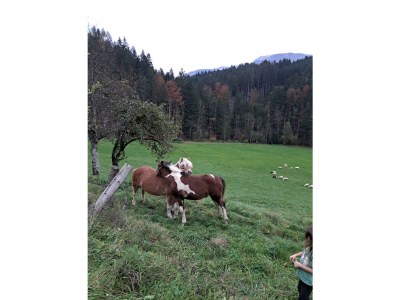 Apartment Apartement "Familie mit Bergblick" - Outdoor photo 47