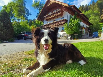 Apartment Apartement "Familie mit Bergblick" - Outdoor photo 48