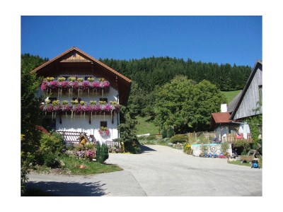 Holiday room Liebesnest in Vorderstoder - Holiday room